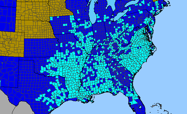 The range of Cerastium glomeratum